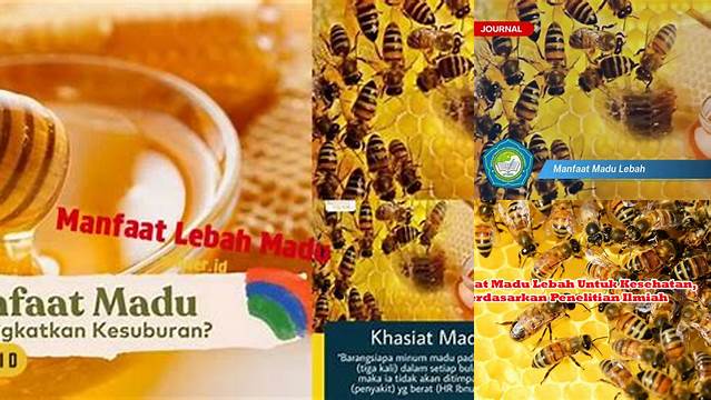 Manfaat Lebah Madu yang Wajib Anda Ketahui
