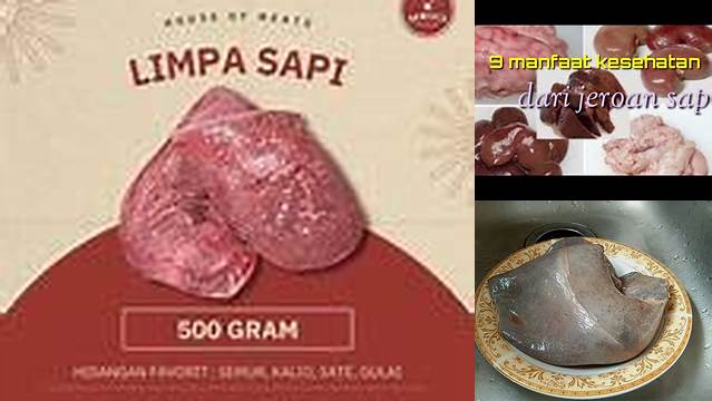 Temukan Manfaat Limpa Sapi yang Jarang Diketahui untuk Kesehatan Anda