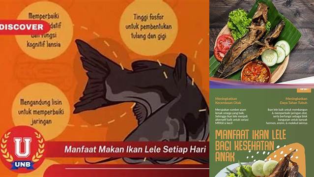 Manfaat Makan Ikan Lele Setiap Hari: Penemuan yang Jarang Diketahui