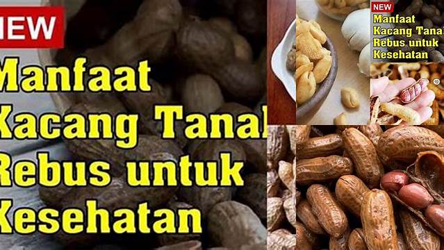 Manfaat Kacang Rebus yang Jarang Diketahui, Wajib Tahu!