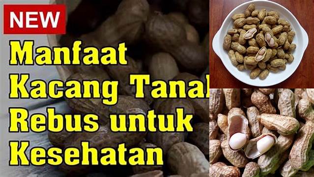 7 Manfaat Makan Kacang Tanah Rebus yang Jarang Diketahui