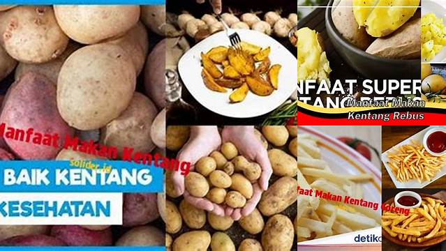 Temukan 8 Manfaat Makan Kentang yang Jarang Diketahui