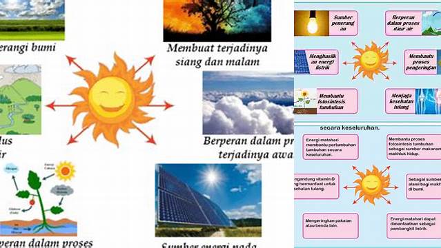 Manfaat Matahari Bagi Alam yang Jarang Diketahui