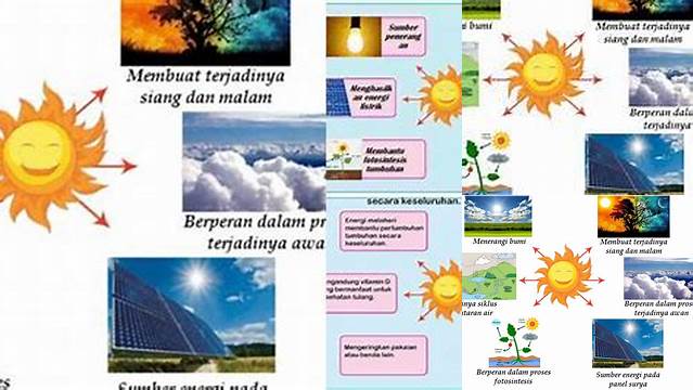 Manfaat Matahari Bagi Alam yang Jarang Diketahui