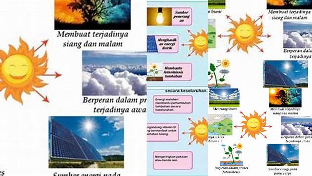 Manfaat Matahari Bagi Alam yang Jarang Diketahui