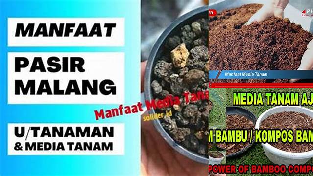 6 Manfaat Media Tanam yang Perlu Anda Tahu