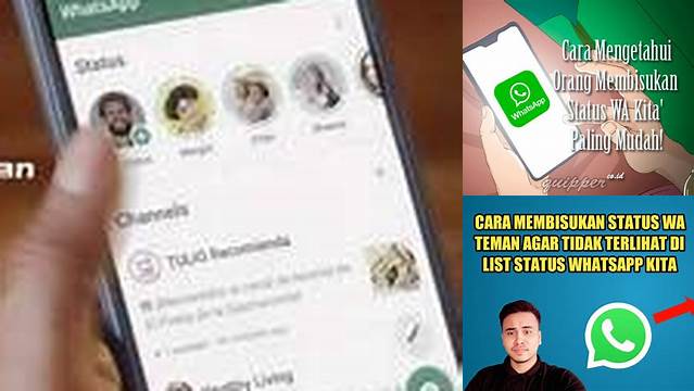 Temukan Rahasia Baru Membisukan Status WA yang Belum Diketahui Banyak Orang