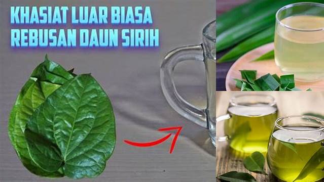 Temukan 5 Manfaat Minum Air Sirih yang Jarang Diketahui