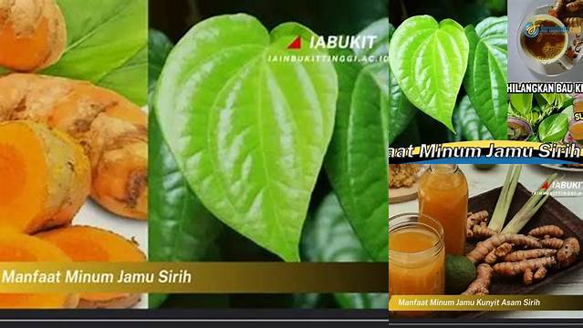 Ungkap 10 Manfaat Minum Jamu Sirih yang Jarang Diketahui