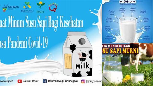 Manfaat Minum Susu Sapi yang Jarang Diketahui, Wajib Tahu!