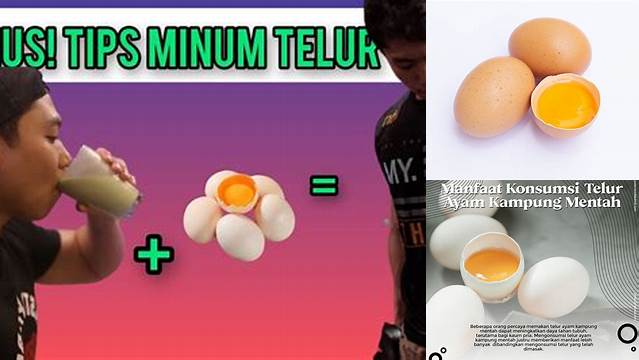 Temukan Manfaat Minum Telur Mentah yang Jarang Diketahui