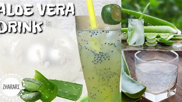 Temukan Manfaat Minuman Aloe Vera yang Jarang Diketahui, Wajib Diketahui!