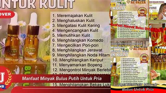 Manfaat Minyak Bulus untuk Pria, Temuan Jarang Diketahui yang Wajib Diketahui!