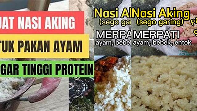 Temukan 9 Manfaat Nasi Aking yang Jarang Diketahui - IABUKIT