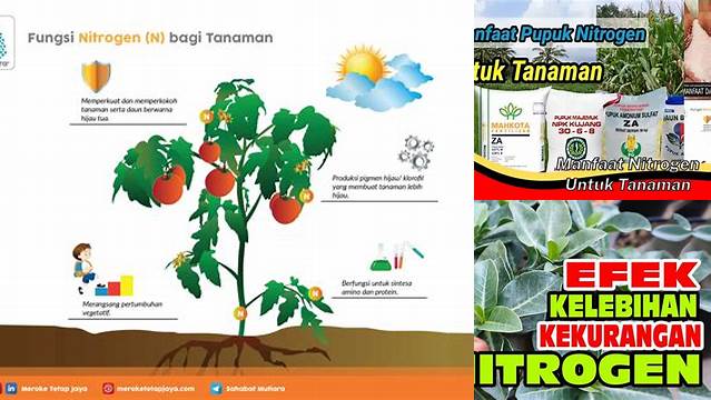 10 Manfaat Nitrogen Untuk Tanaman yang Jarang Diketahui