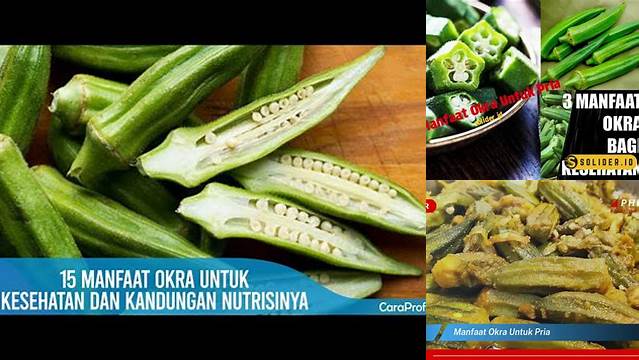 Manfaat Okra untuk Pria, Kunci Kesehatan yang Perlu Anda Ketahui