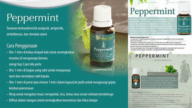 Temukan Manfaat Peppermint Young Living yang Jarang Diketahui, Wajib Tahu!