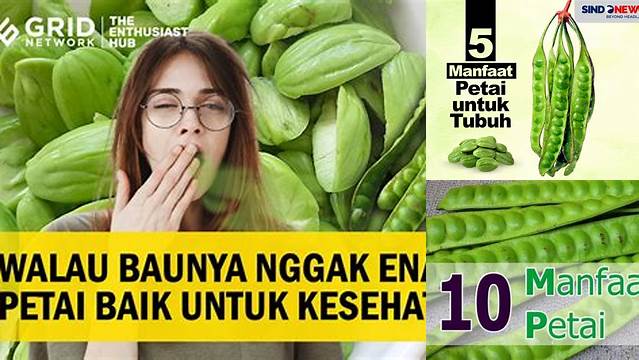 Manfaat Petai untuk Kecantikan: Temuan dan Wawasan yang Mencengangkan!