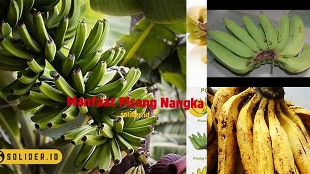 Temukan 10 Manfaat Pisang Nangka yang Jarang Diketahui