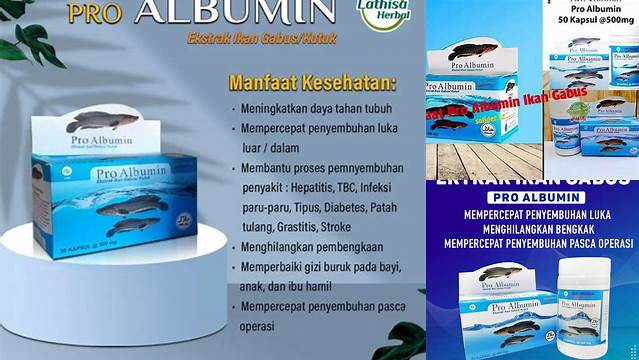 Temukan Rahasia Pro Albumin Ikan Gabus: Manfaat yang Jarang Diketahui!