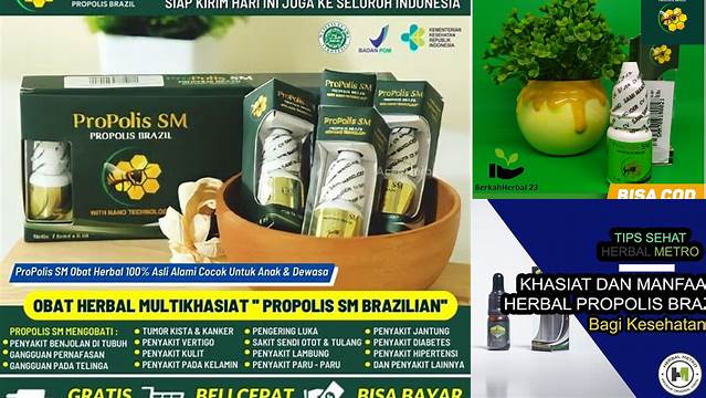 Temukan 7 Manfaat Propolis Brazilian yang Jarang Diketahui