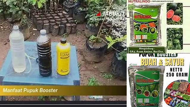 Temukan 9 Manfaat Pupuk Booster yang Jarang Diketahui