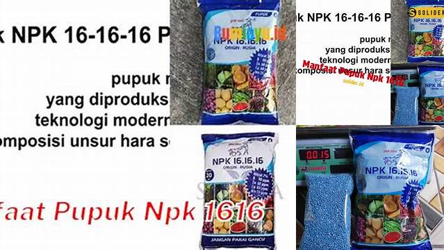 Temukan Manfaat Pupuk NPK 1616 yang Jarang Diketahui!