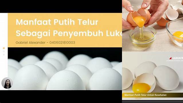 Temukan Manfaat Mengejutkan Putih Telur untuk Luka yang Belum Banyak Diketahui