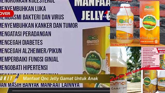 Temukan Manfaat QnC Jelly Gamat yang Jarang Diketahui