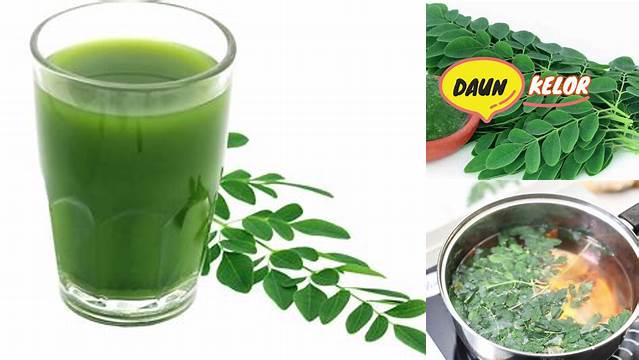 Manfaat Rebusan Daun Kelor: Terungkap & Jarang Diketahui