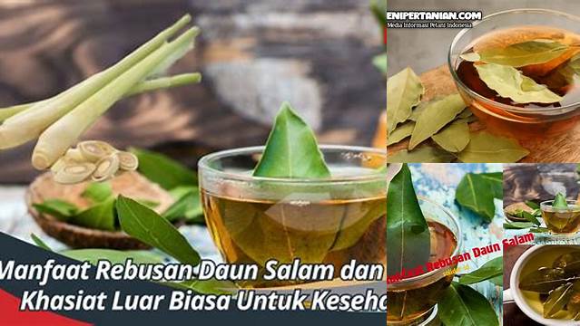 Ungkap 9 Manfaat Rebusan Daun Salam yang Jarang Diketahui