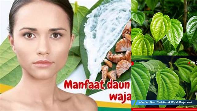 Unveil the 8 Benefits of Betel Leaf Decoction for Your Face, Discoveries You Need to Know