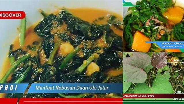 Temukan 10 Manfaat Rebusan Daun Ubi Jalar yang Jarang Diketahui