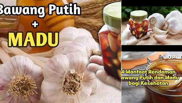 Temukan Manfaat Rendaman Bawang Putih dan Madu yang Jarang Diketahui