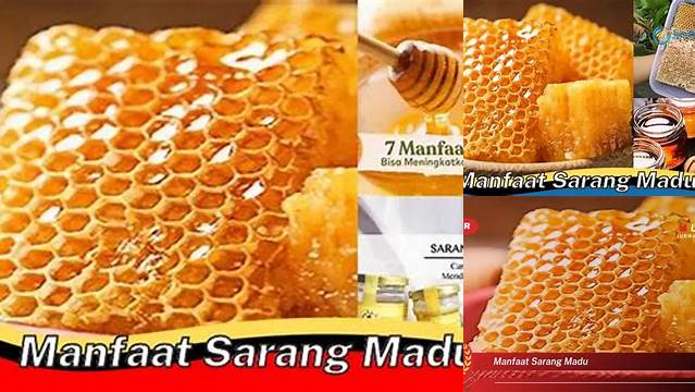  Ungkap Khasiat Sarang Madu yang Jarang Diketahui 