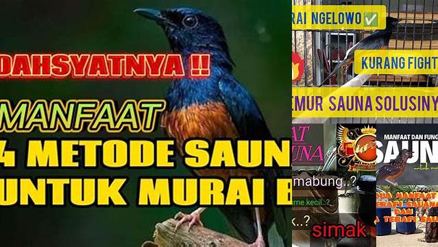 Temukan Beragam Manfaat Sauna Murai Batu yang Jarang Diketahui!