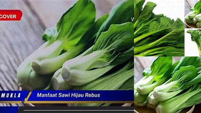 Temukan Manfaat Sawi Hijau Rebus yang Jarang Diketahui
