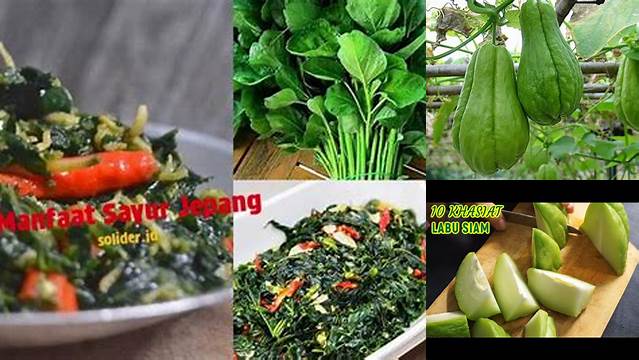 Temukan 10 Manfaat Sayur Jepang yang Jarang Diketahui