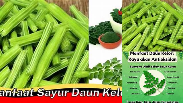 Manfaat Sayur Kelor yang Jarang Diketahui, Anda Perlu Tahu!