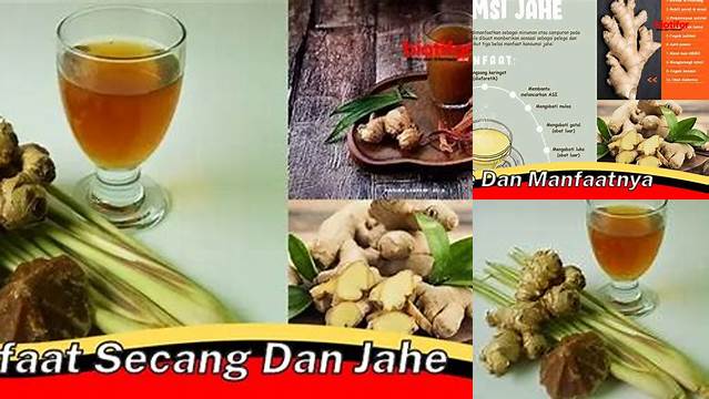 Temukan 10 Manfaat Secang dan Jahe yang Jarang Diketahui