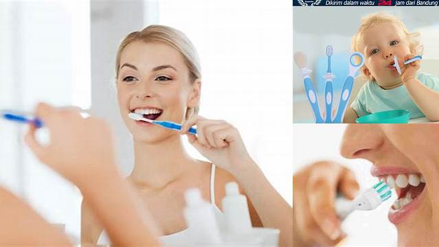 Temukan 5 Manfaat Sikat Gigi yang Jarang Diketahui