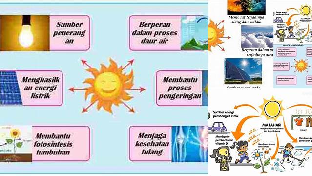 Manfaat Sinar Matahari Bagi Tumbuhan yang Jarang Diketahui