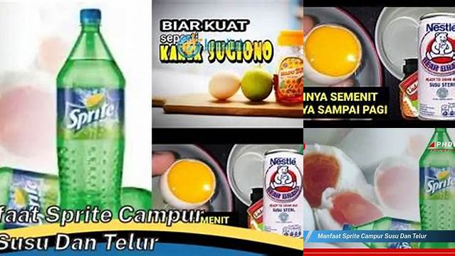 Temukan Manfaat Sprite Campur Susu dan Telur yang Jarang Diketahui