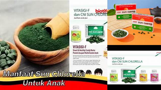 Temukan 5 Manfaat Sun Chlorella yang Jarang Diketahui