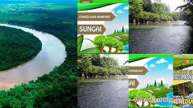 Temukan Manfaat Sungai yang Jarang Diketahui