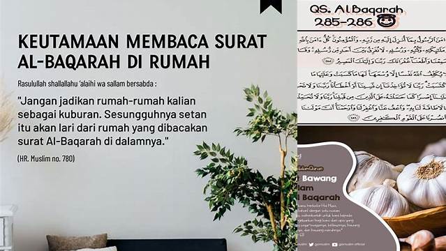 Temukan Rahasia Manfaat Surat Al Baqarah yang Belum Banyak Diketahui