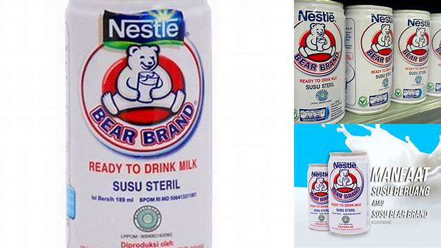 Temukan 10 Manfaat Susu Beruang untuk Kecantikan yang Jarang Diketahui