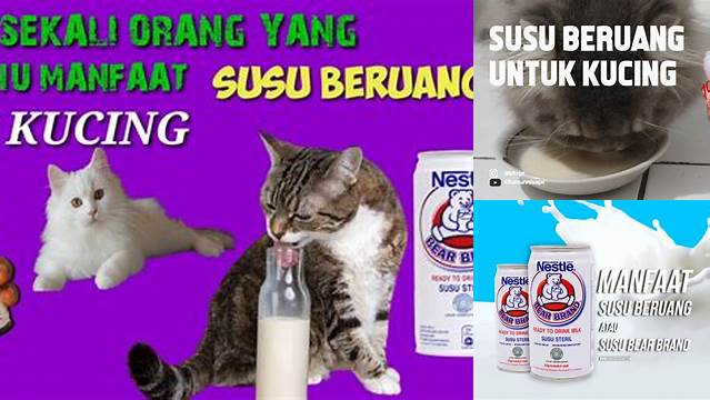 Manfaat Susu Beruang untuk Keracunan Makanan, Temuan Mengejutkan yang Harus Kamu Tahu!