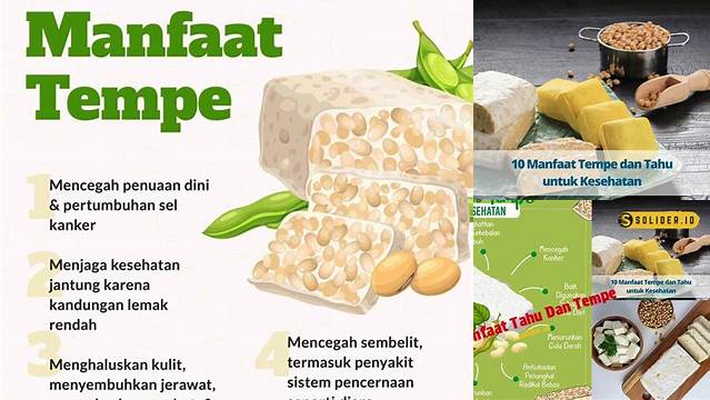 Manfaat Tahu dan Tempe: Penemuan Terbaru dan Wawasan Jarang Diketahui