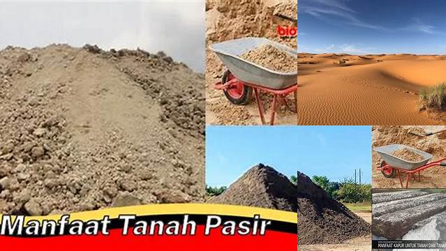 Manfaat Tanah Pasir yang Jarang Diketahui, Wajib Anda Tahu!